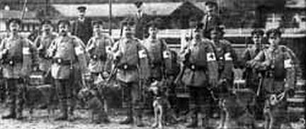 NAGY 24-2 e� katon�k 01